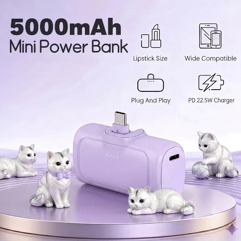 Compact Portable Power Bank